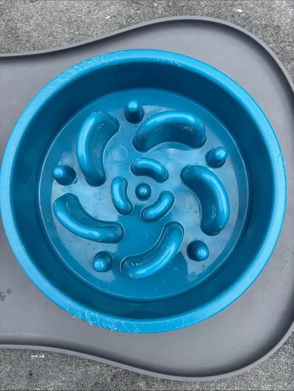 MateeyLife Pet Food & Water Set, Blue Slow Feeder & Stainless Steel Water Bowls